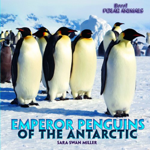 Imagen de archivo de Emperor Penguins of the Antarctic a la venta por Better World Books