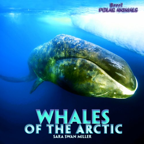 9781435827431: Whales of the Arctic (Brrr! Polar Animals)