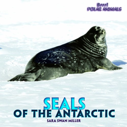 9781435827455: Seals of the Antarctic (Brrr! Polar Animals)