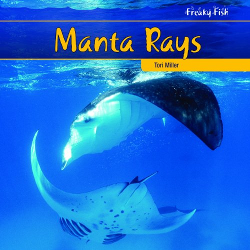 9781435827530: Manta Rays (Freaky Fish)