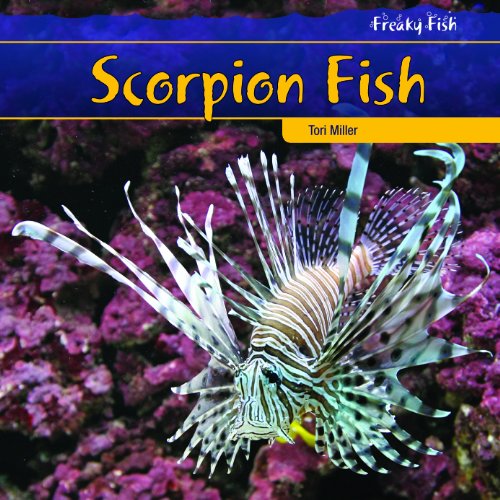 9781435827554: Scorpion Fish (Freaky Fish)