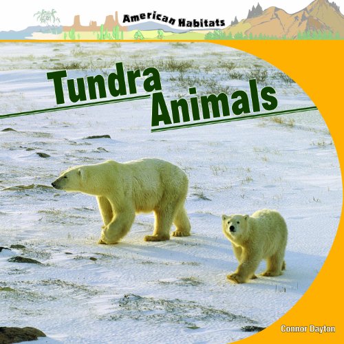 9781435827684: Tundra Animals (American Habitats)