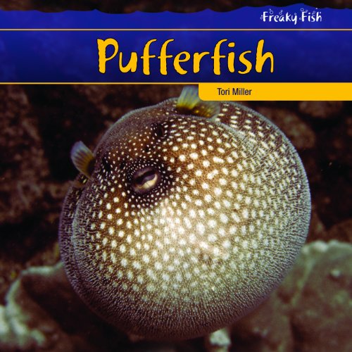 9781435828186: Pufferfish (Freaky Fish)