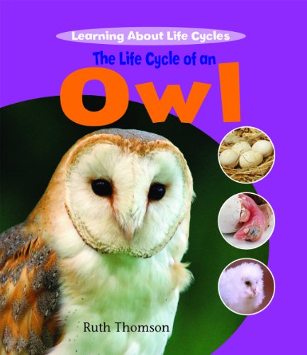 9781435828339: The Life Cycle of an Owl (Learning About Life Cycles)