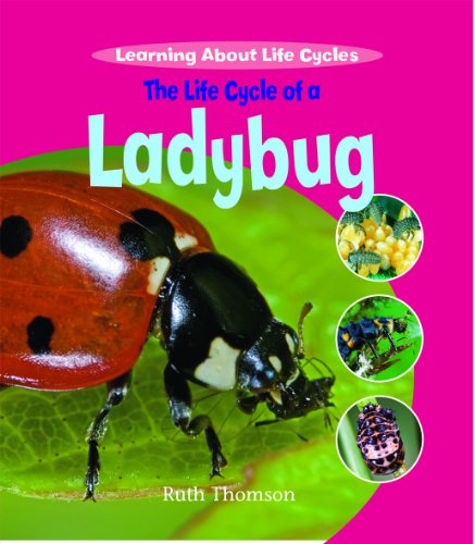 The Life Cycle of a Ladybug (Learning About Life Cycles) (9781435828353) by Thomson, Ruth