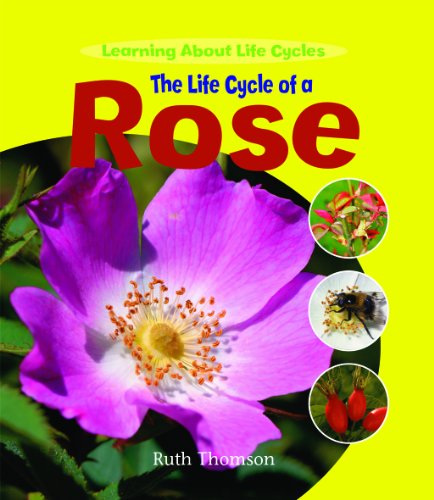 The Life Cycle of a Rose (Learning About Life Cycles) (9781435828377) by Thomson, Ruth