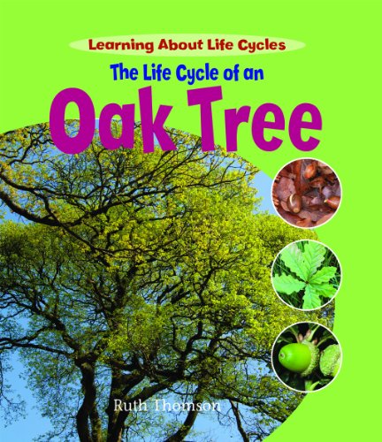 Imagen de archivo de The Life Cycle of an Oak Tree a la venta por Better World Books