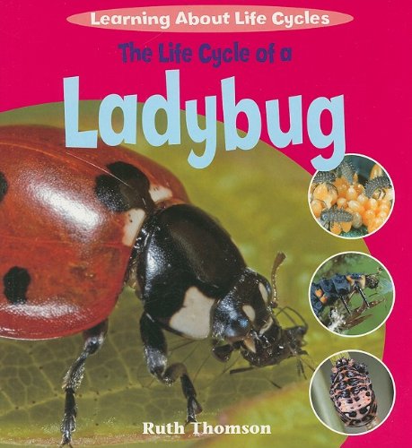 9781435828858: The Life Cycle of a Ladybug (Learning About Life Cycles)