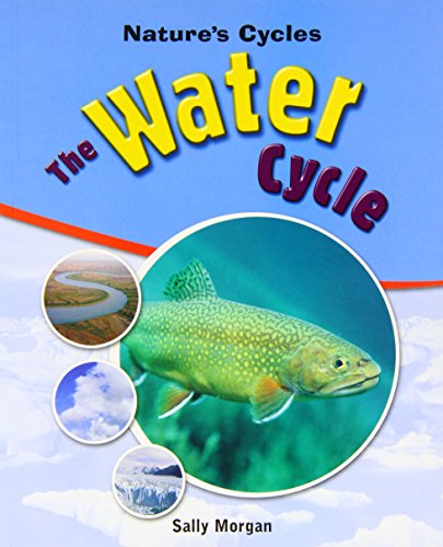 9781435829503: The Water Cycle