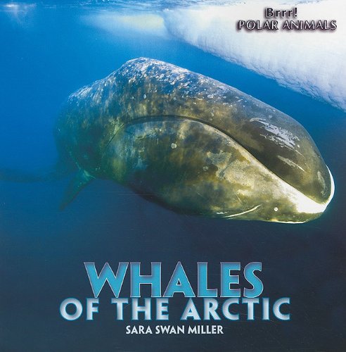 9781435831476: Whales of the Arctic (Brrr! Polar Animals)