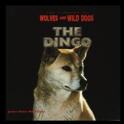 Stock image for The Dingo for sale by Lucky's Textbooks