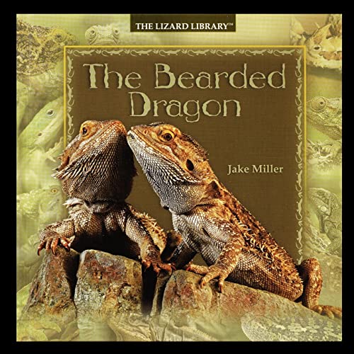 9781435836938: The Bearded Dragon (Lizard Library)