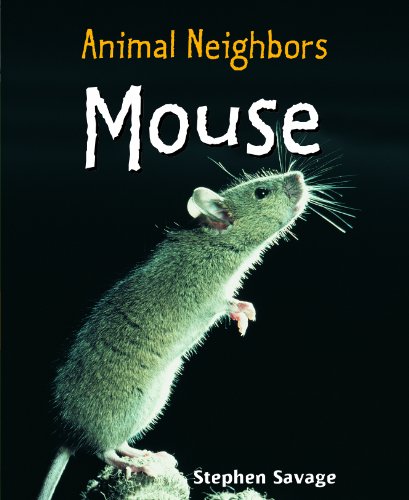 Imagen de archivo de Mouse a la venta por Better World Books