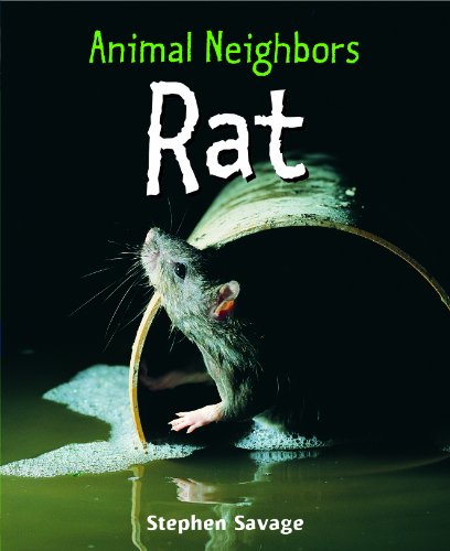 Stock image for Rat for sale by Better World Books