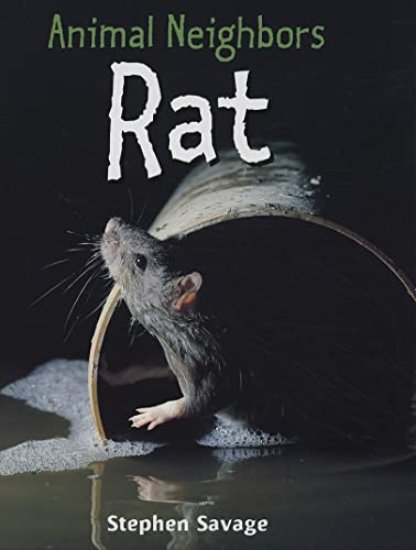 Stock image for Rat for sale by Better World Books