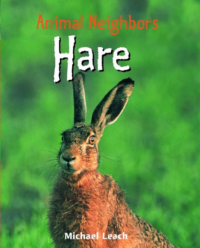 Imagen de archivo de Hare (Animal Neighbors) a la venta por DENNIS GALLEMORE
