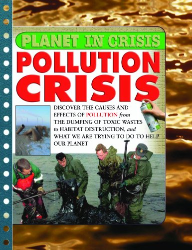 Stock image for Pollution Crisis (Planet in Crisis) for sale by SecondSale