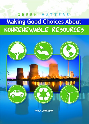 9781435853119: Making Good Choices About Nonrenewable Resources