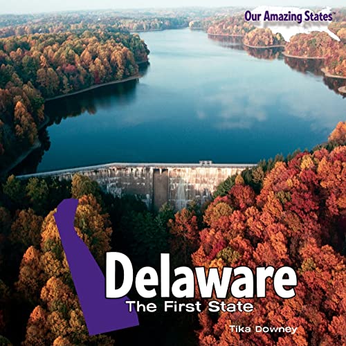 Stock image for Delaware : The First State for sale by Better World Books: West
