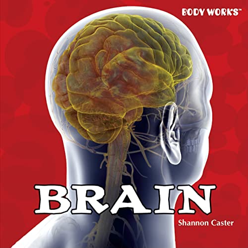 Beispielbild fr Brain zum Verkauf von Better World Books
