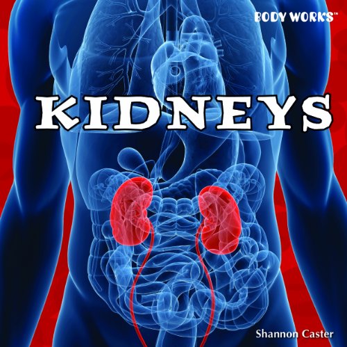 9781435893726: Kidneys (Body Works)