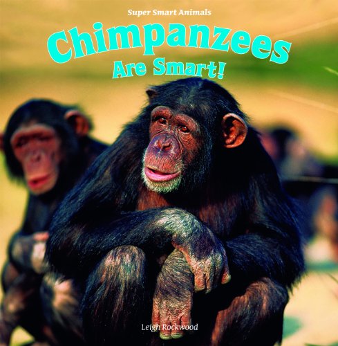Beispielbild fr Chimpanzees Are Smart! zum Verkauf von Better World Books