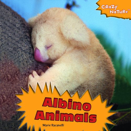 Stock image for Albino Animals for sale by Better World Books