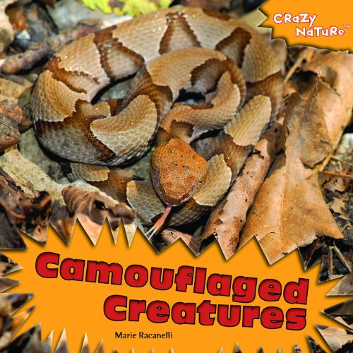 Stock image for Camouflaged Creatures (Crazy Nature) for sale by More Than Words