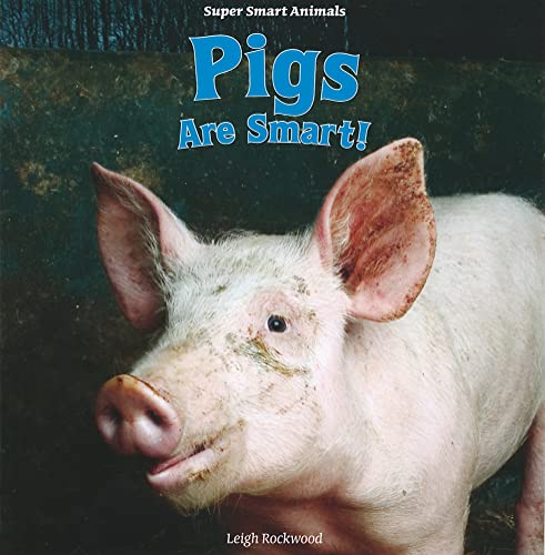 Imagen de archivo de Pigs Are Smart! (Super Smart Animals) a la venta por BookHolders