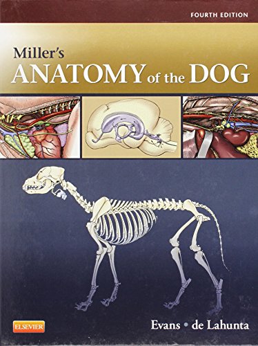 Stock image for Miller's Anatomy of the Dog for sale by BooksRun