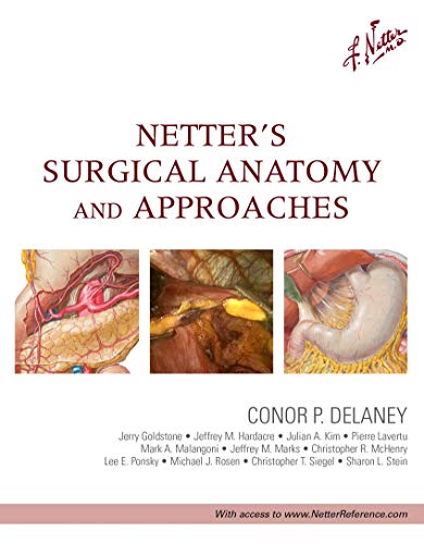 Imagen de archivo de Netter's Surgical Anatomy and Approaches a la venta por Better World Books