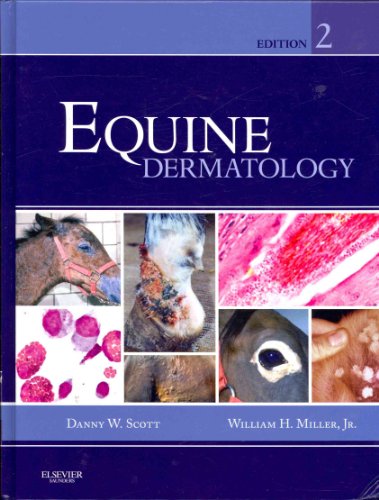 Beispielbild fr Equine Dermatology zum Verkauf von Revaluation Books