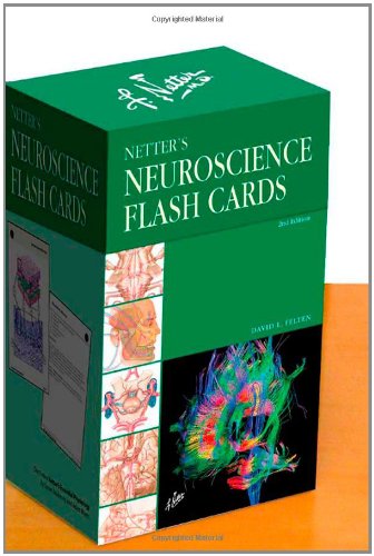 Stock image for Netter's Neuroscience Flash Cards for sale by BooksRun