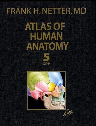 Beispielbild fr Atlas of Human Anatomy, Professional Edition (5th edition) (Netter Basic Science) zum Verkauf von Wonder Book