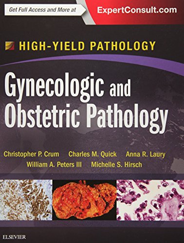 Beispielbild fr Gynecologic and Obstetric Pathology: A Volume in the High Yield Pathology Series zum Verkauf von GoldenWavesOfBooks