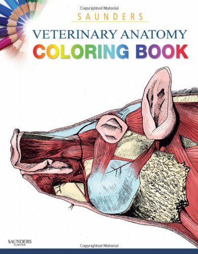 Stock image for Saunders Veterinary Anatomy Coloring Book for sale by Irish Booksellers