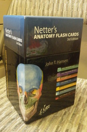 Stock image for Netter's Anatomy Flash Cards: with Online Student Consult Access (Netter Basic Science) for sale by HPB-Red
