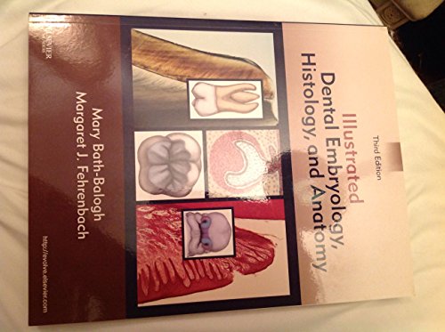 Stock image for Illustrated Dental Embryology, Histology, and Anatomy for sale by Better World Books