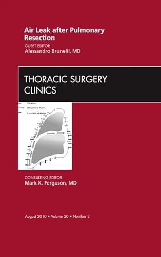 Stock image for Air Leak after Pulmonary Resection, An Issue of Thoracic Surgery Clinics (The Clinics: Surgery): Number 3: Volume 20-3 for sale by Chiron Media