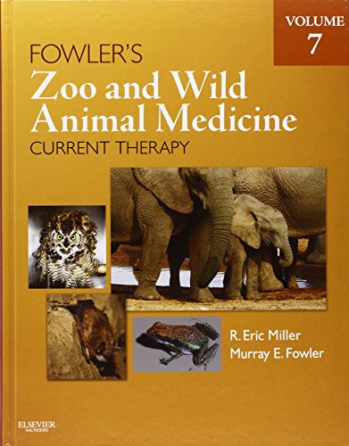 Beispielbild fr Fowlers Zoo and Wild Animal Medicine Current Therapy, Volume 7 zum Verkauf von The Happy Book Stack