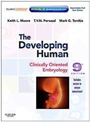 Beispielbild fr The Developing Human : Clinically Oriented Embryology zum Verkauf von Better World Books