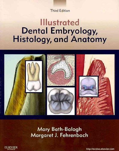 Beispielbild fr Illustrated Dental Embryology, Histology, and Anatomy - Text and Student Workbook Package zum Verkauf von Mispah books