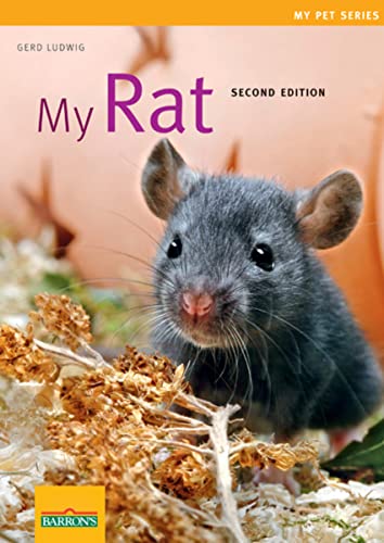 Stock image for My Rat (My Pet Series) for sale by Orion Tech