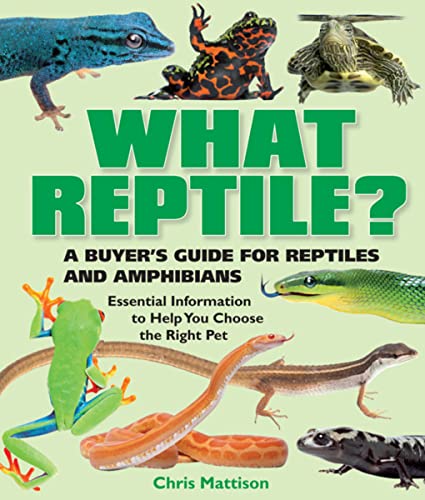 Imagen de archivo de What Reptile?: A Buyer's Guide for Reptiles and Amphibians a la venta por Wonder Book