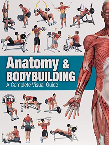 bodybuilding books pdf