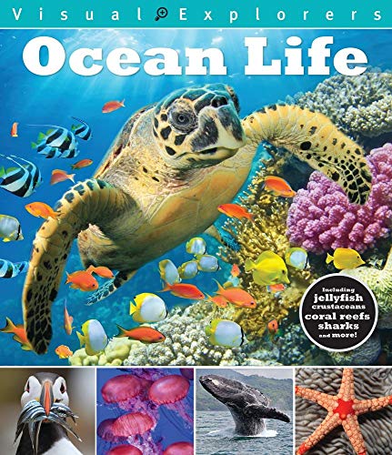 Beispielbild fr Ocean Life zum Verkauf von Better World Books