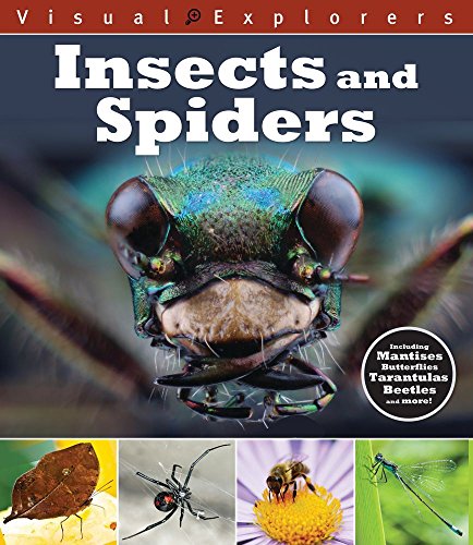 9781438008271: Insects and Spiders (Visual Explorers)