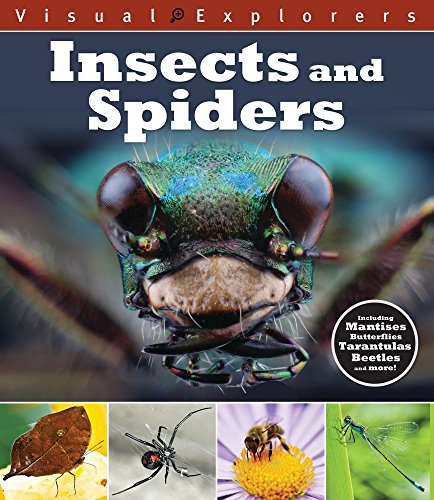 Stock image for Insects and Spiders (Visual Explorers) for sale by HPB-Diamond