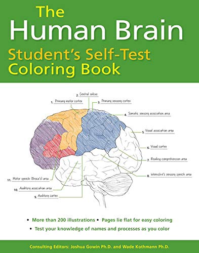 Stock image for Human Brain Students Self-Test Coloring Book (Barrons Test Prep) for sale by Zoom Books Company