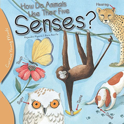 9781438008912: How Do Animals Use Their Five Senses? (Curious Young Minds)